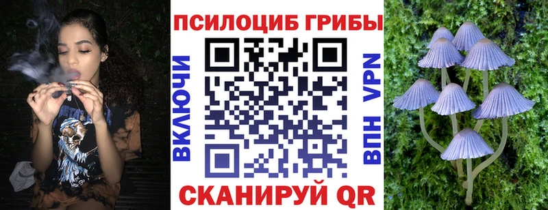 Псилоцибиновые грибы Psilocybine cubensis  наркошоп  Нелидово 